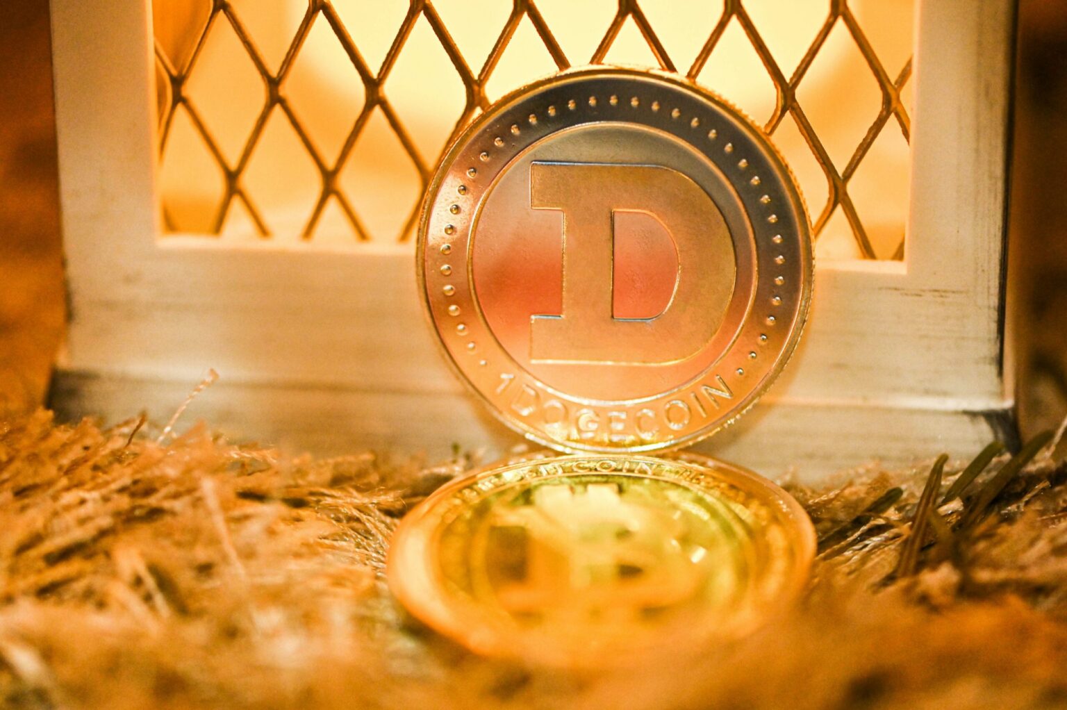Market Pro Weighs In: Could Dogecoin Eclipse Past Bull Runs? Market Pro Weighs In Could Dogecoin Eclipse Past Bull Runs scaled