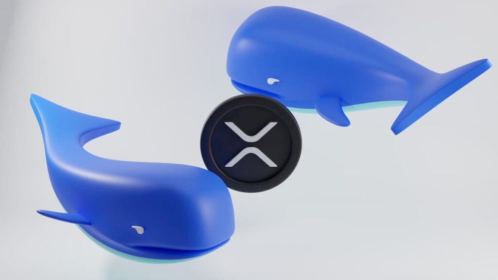 Whales Accumulate a Whopping 100 Million XRP Tokens Market Buzz