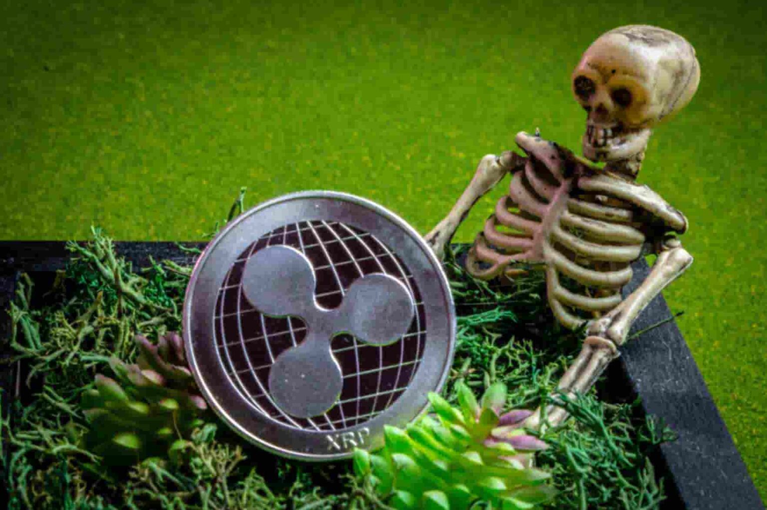 XRP Plummets 25 Billion Erased in a Day Coin Enters