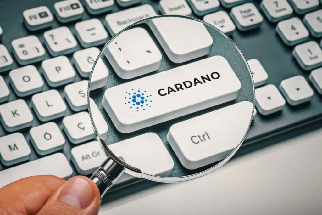 Cardano’s Remarkable Addition of 15,000 Smart Contracts in 2025 Cardanos Remarkable Addition of 15000 Smart Contracts in 2025