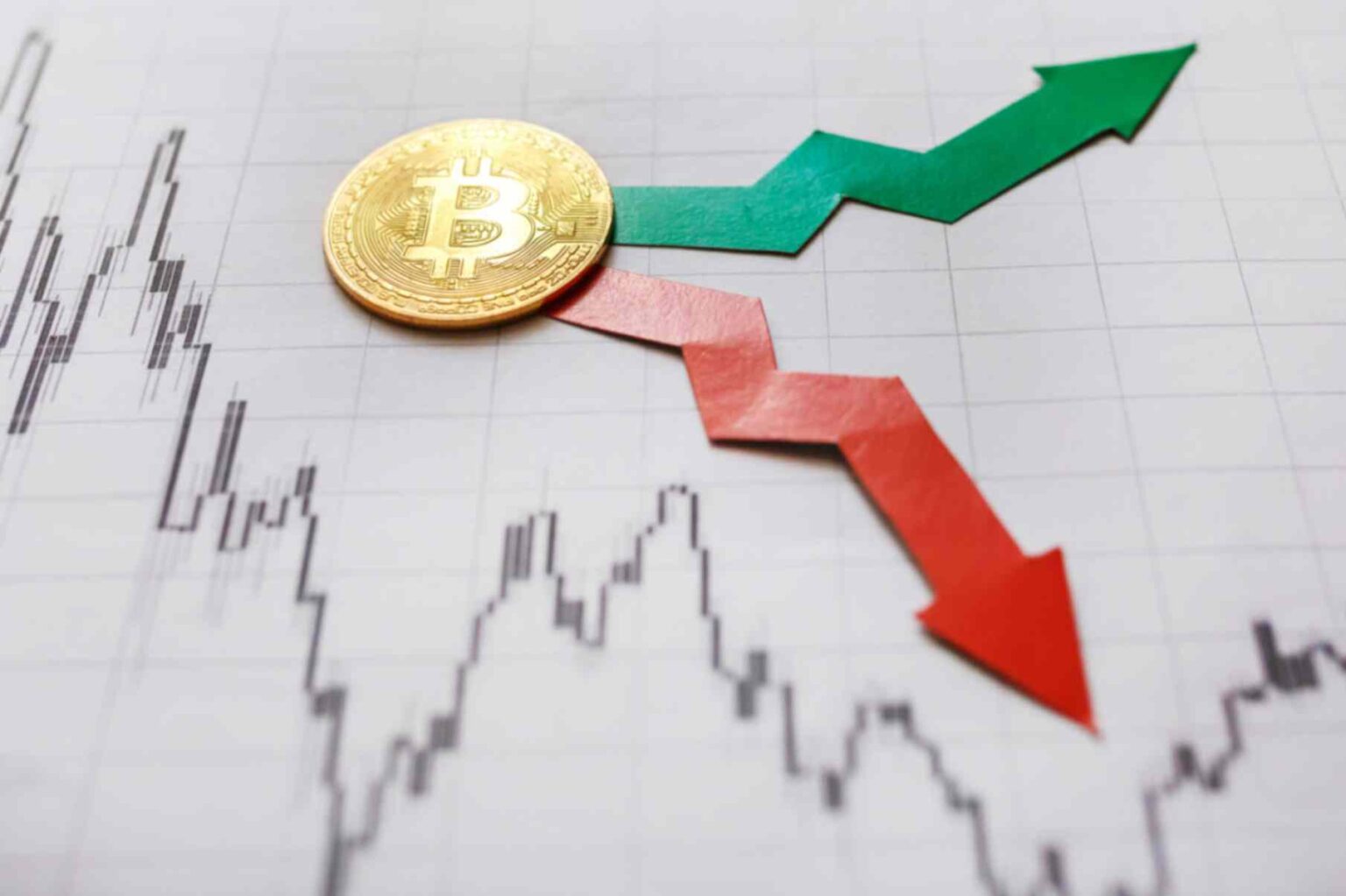 Bitcoin’s 100% Profit Signal Reappears: A Promising Insight Bitcoins 100 Profit Signal Reappears A Promising Insight