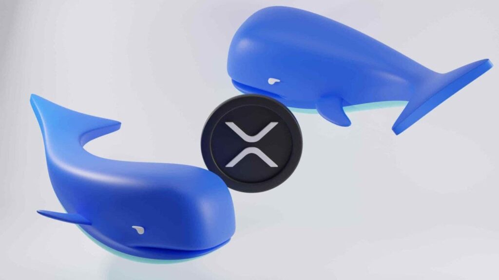 XRP Whale Shifts $60M in Wake of ETF Buzz XRP Whale Shifts 60M in Wake of ETF Buzz