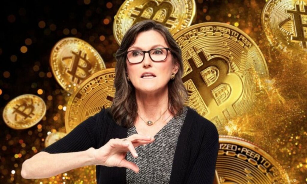 Cathie Woods Bold Bitcoin Bet Top Bull Market Presales