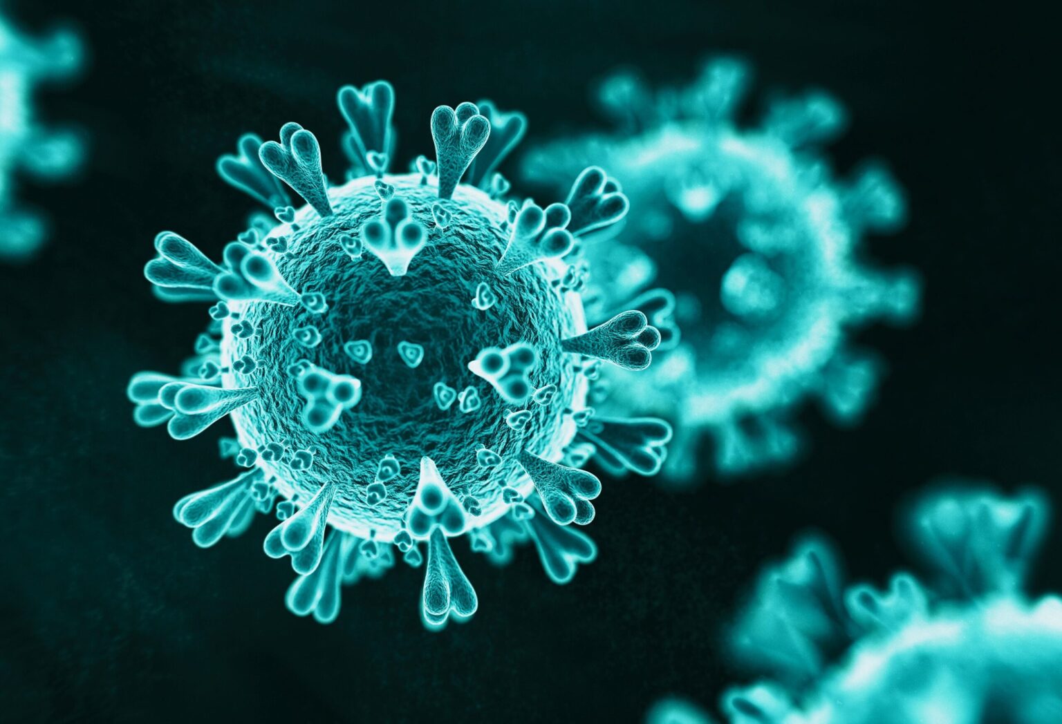 Crypto Platform Pumpfun Criticized for Allegedly Taking 741M scaled