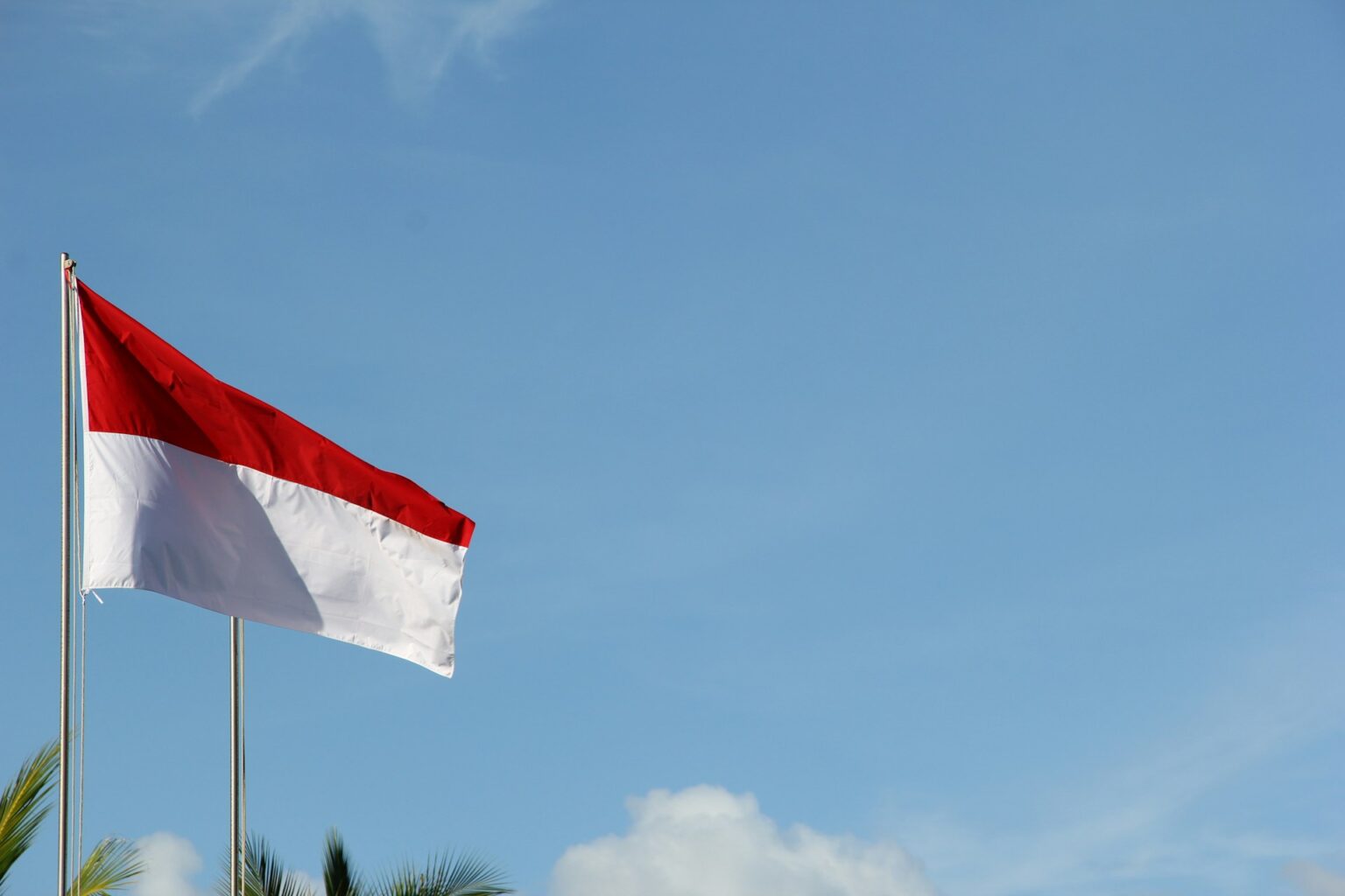 Indonesia Set to Increase Crypto Taxes Starting August 1st