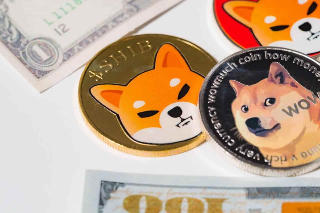 Which Crypto to Buy for 2025? ChatGPT Weighs DOGE vs SHIB Which Crypto to Buy for 2025 ChatGPT Weighs DOGE vs
