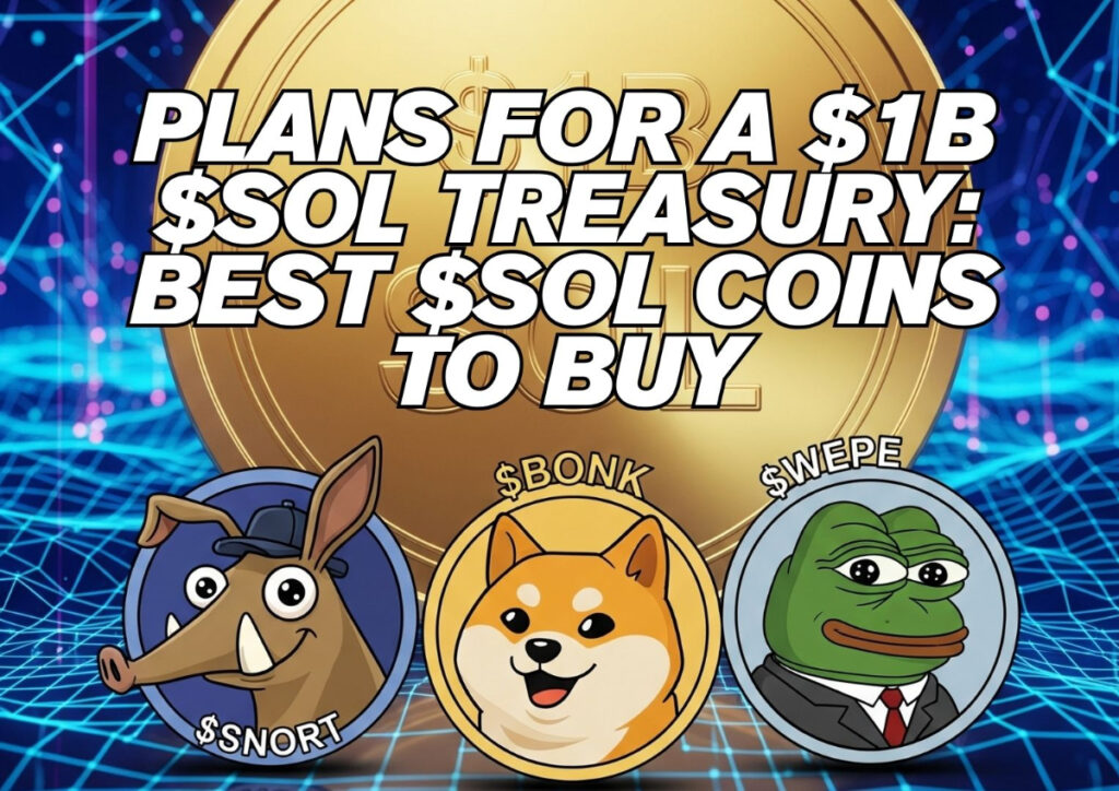 Top Solana Meme Coins to Buy as 1B Institutional Investment