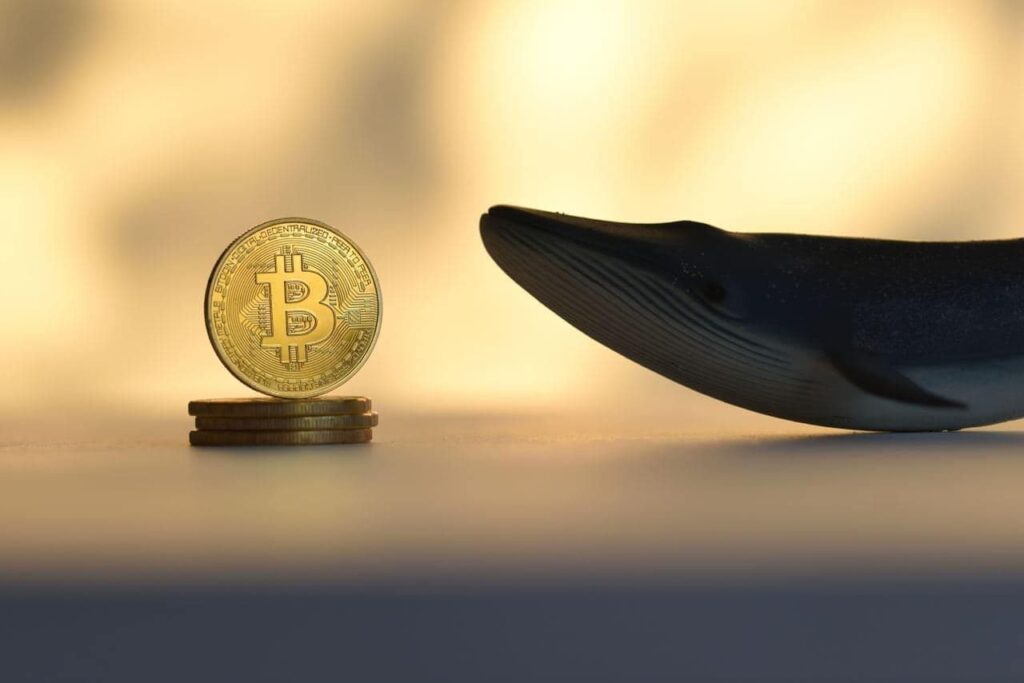 Whales Sell $3B Bitcoin: Will Prices Plummet to $100k? Whales Sell 3B Bitcoin Will Prices Plummet to 100k
