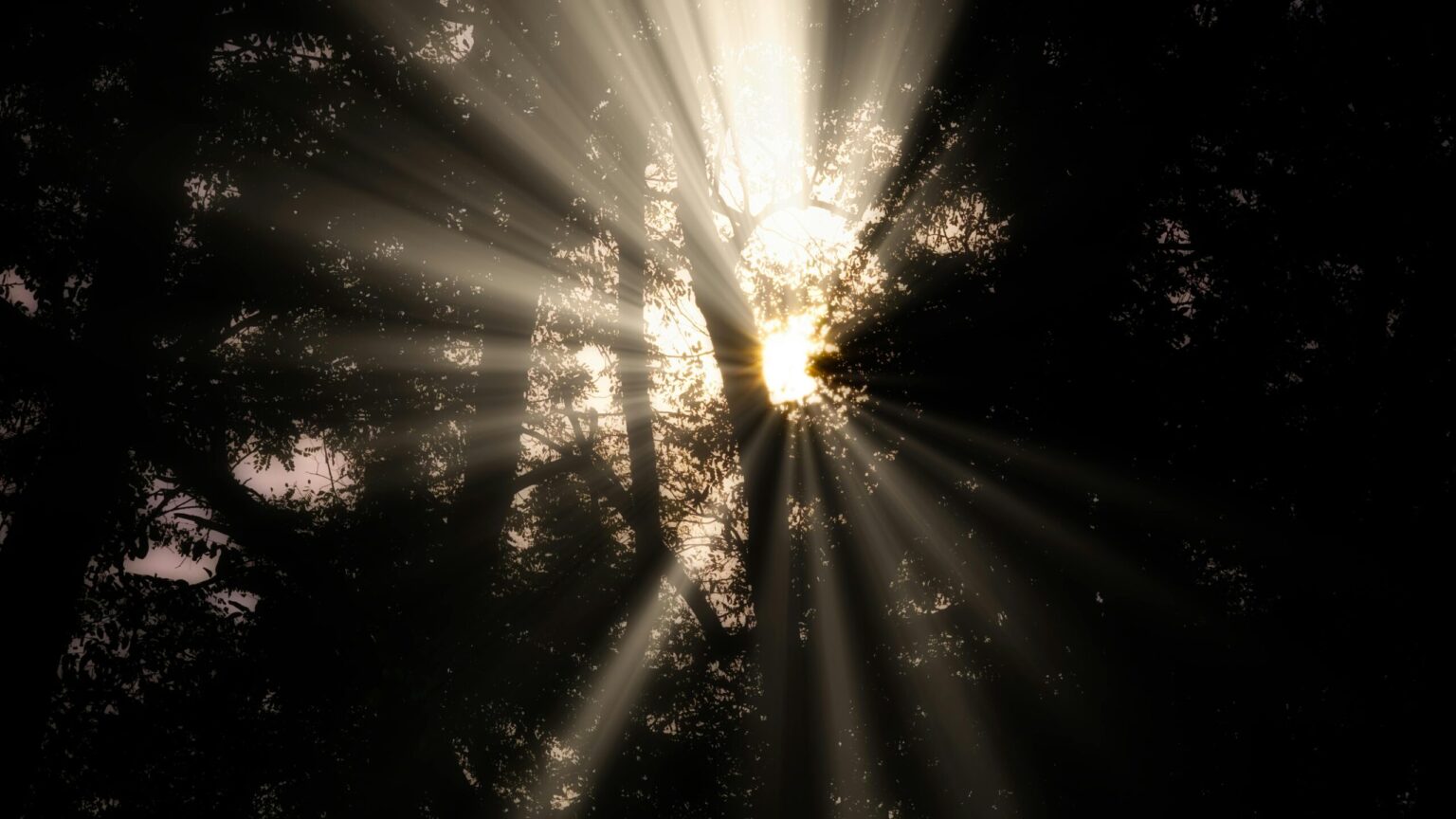 Bitcoin Advocate Roger Ver Resolves Tax Fraud Allegation Bitcoin Advocate Roger Ver Resolves Tax Fraud Allegation scaled