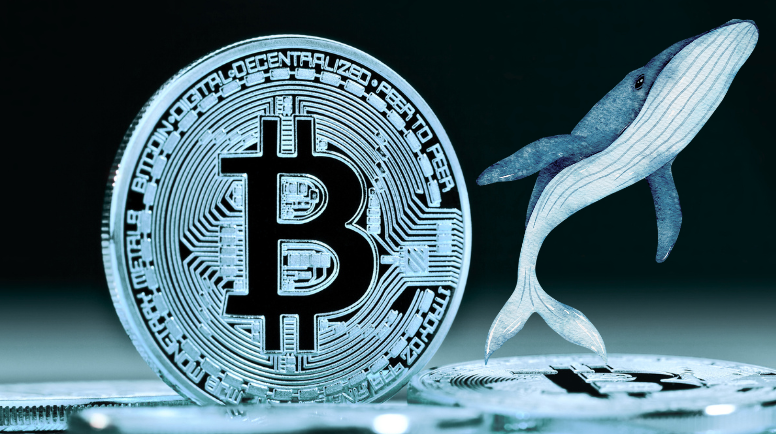 Bitcoin Dips as Veteran BTC Whales Start Selling Bitcoin Dips as Veteran BTC Whales Start Selling